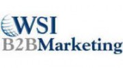 WSI B2B Marketing